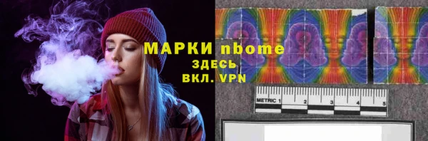 гидра Богородицк