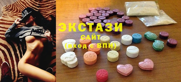 гидра Богородицк
