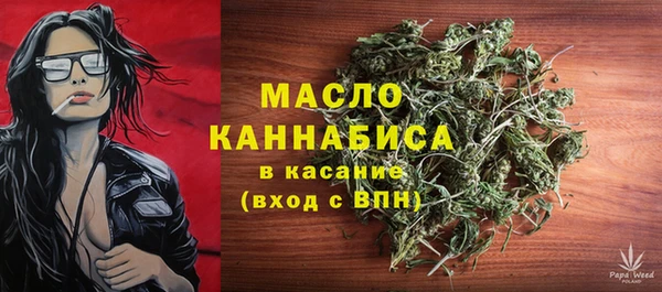 гидра Богородицк