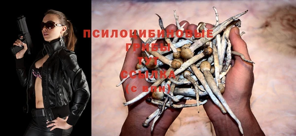 PSILOCYBIN Бугульма