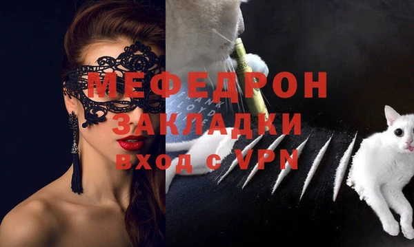 гидра Богородицк