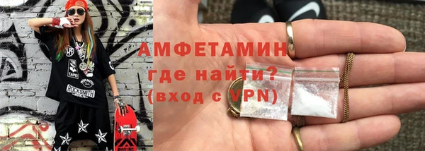гидра Богородицк