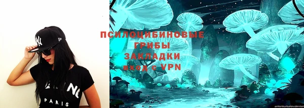 не бодяженный Богданович